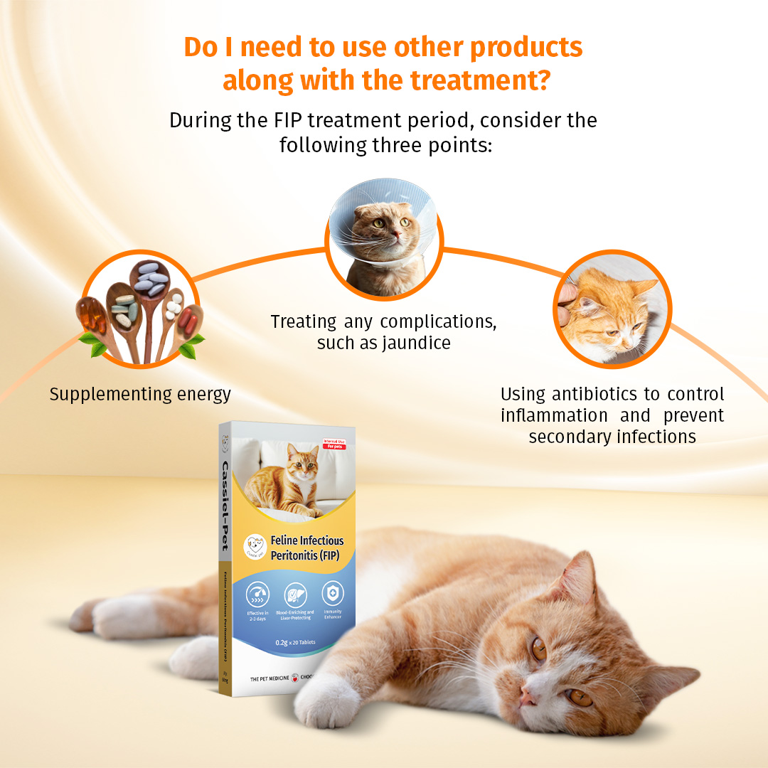 Cassiel Pet FIP™ For Fever Weight Loss Red Eye Difficulty Breathing ...