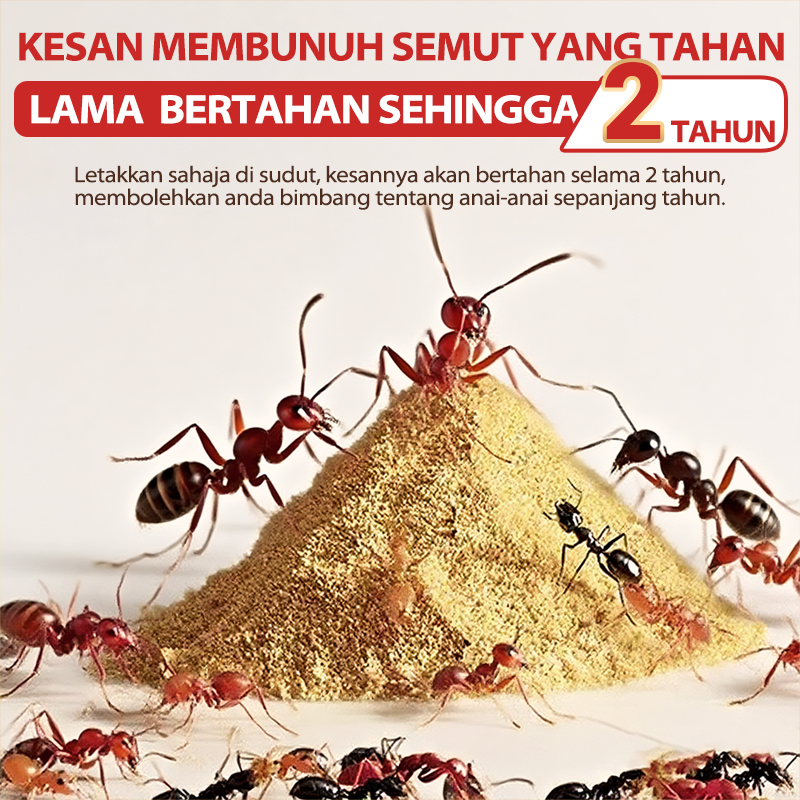 Ubat semut,Serbuk pembunuh semut yang kuat Satu sarang,Dapur dalaman ...
