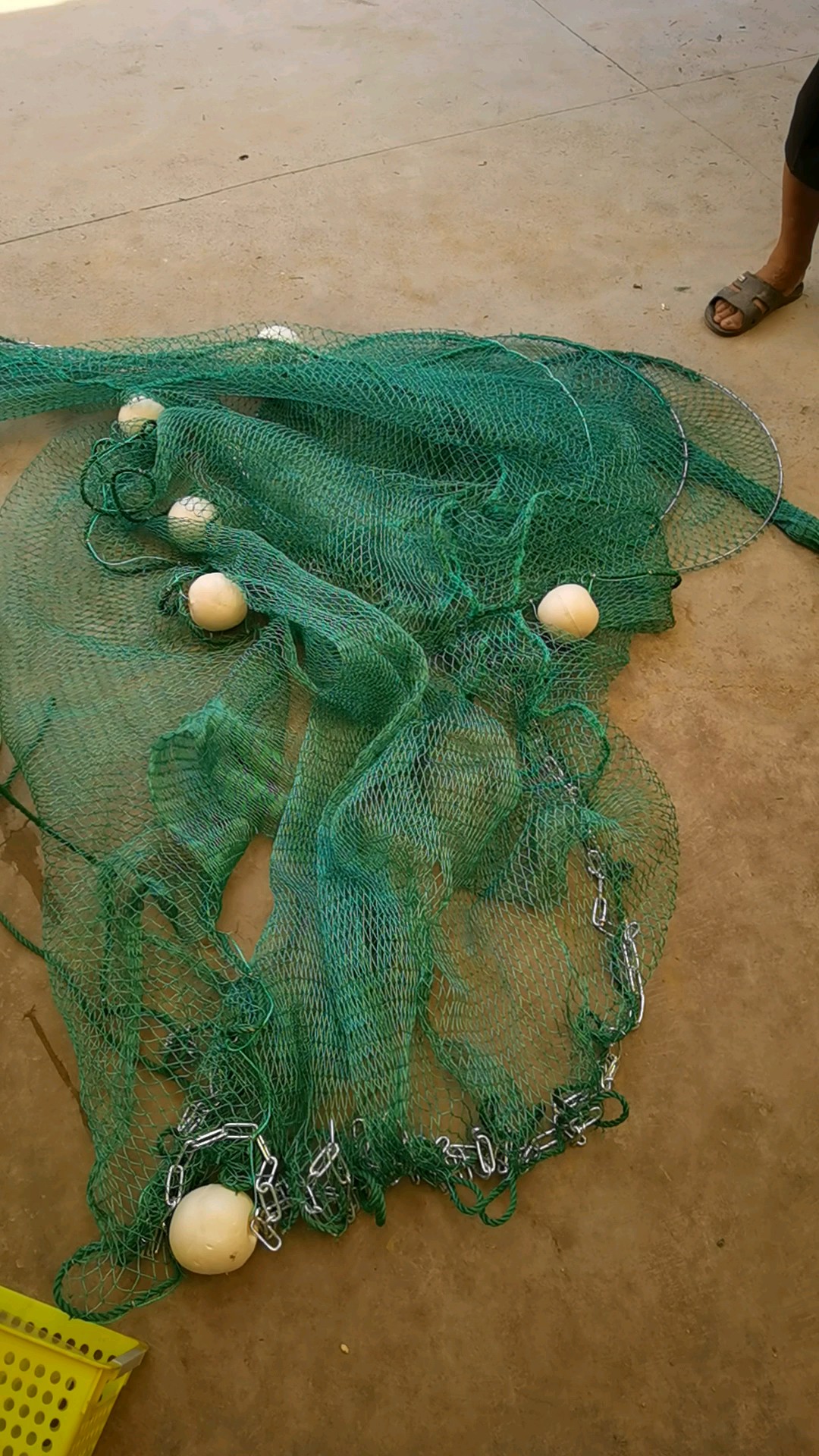Large Imported Folding Fishing Net Trap Pukat Tahan Ikan Large-mouthed ...