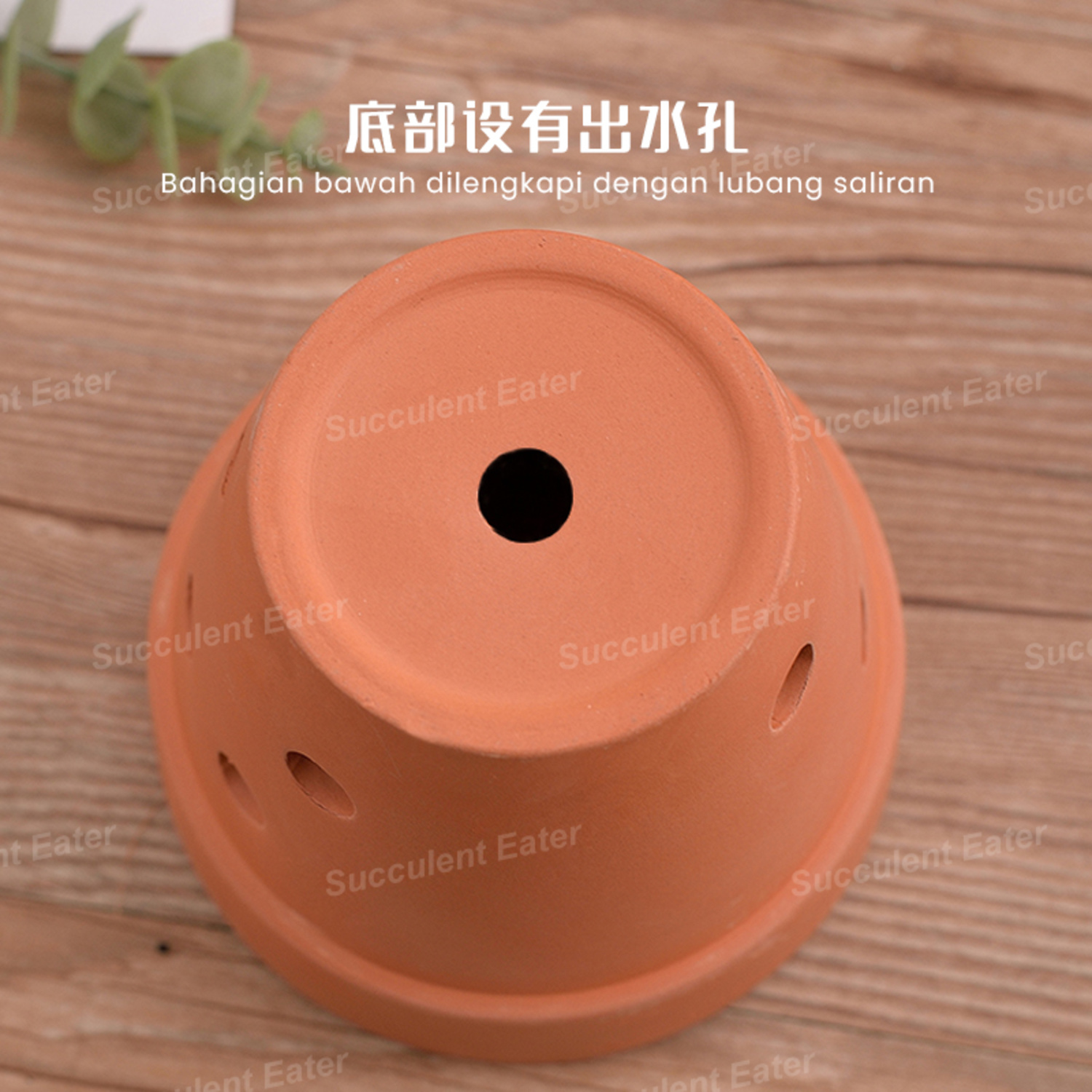 Terracotta Pot Ceramic Red Pottery Clay Pot Orchid Orkid Flower 红陶 兰花 ...