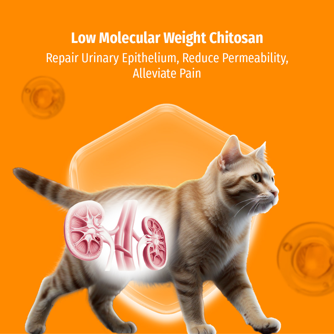 Cassiel Pet Kidney, Urinary Hematuria, Urinary Tract Nutritional ...