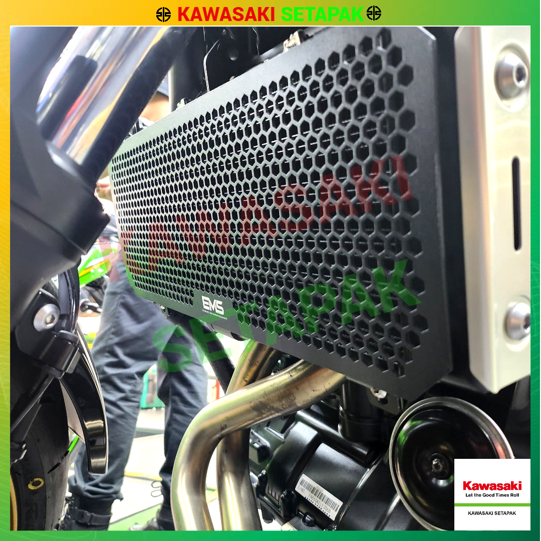 RADIATOR GUARD EMS KAWASAKI Z650RS (BLACK) | Shopee Malaysia
