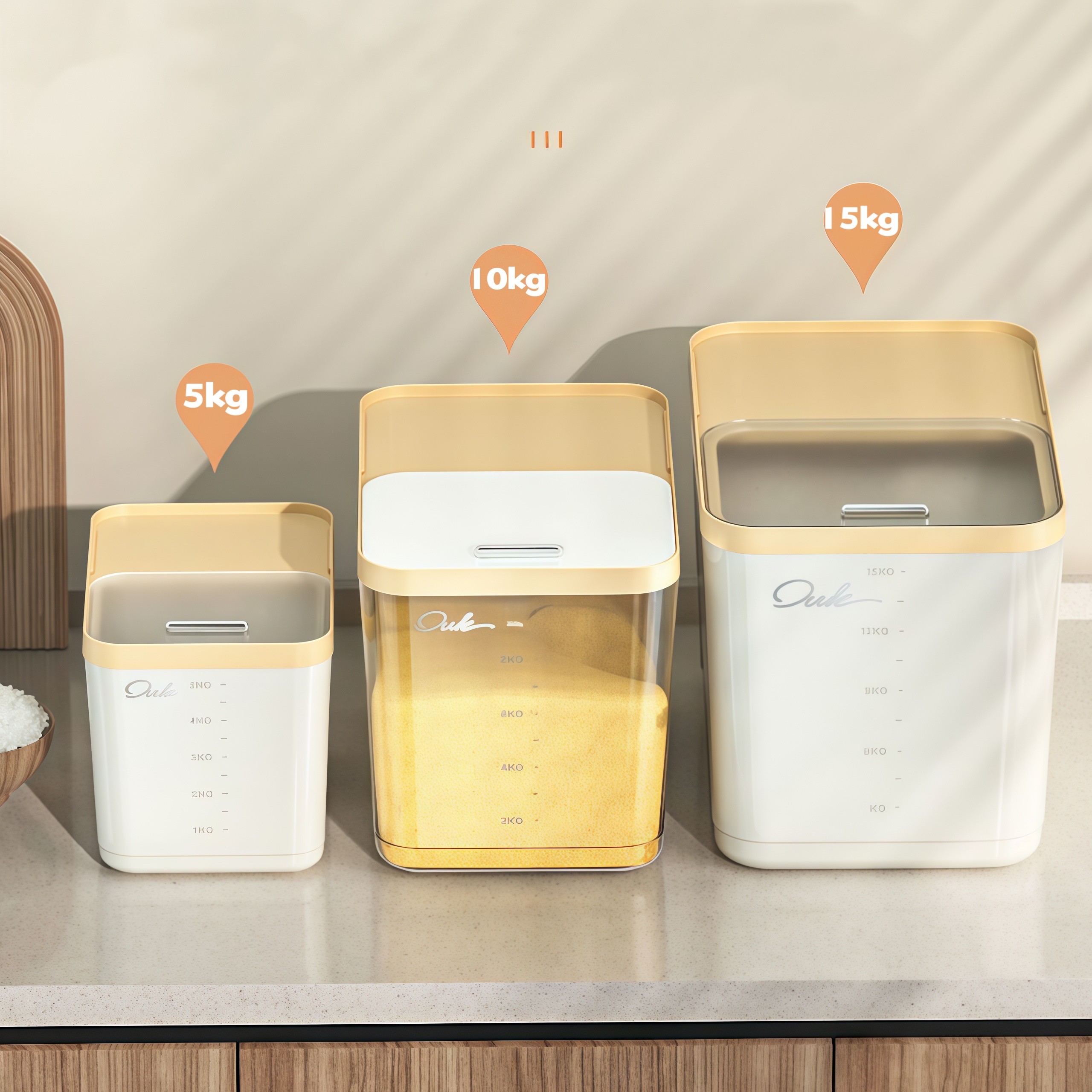 Rice Storage Box Grain Container Household Cereal Rice Bucket Insect ...