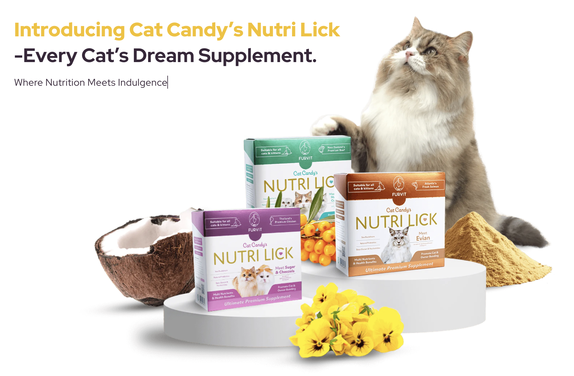 Nutri Lick Can Candy Cat Supplement Multivitamin [Chicken/ Beef/ Salmon