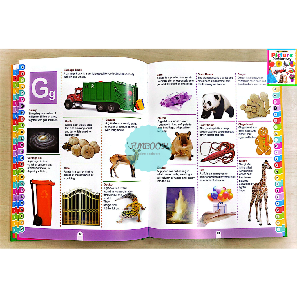 [FUNBOOK] My ultimate dictionary board book Real Pictures / My First ...