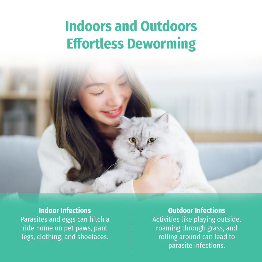 HEGEN PET Deworming Tablet For Nematocide Deworm Worm Rid Heartworm ...