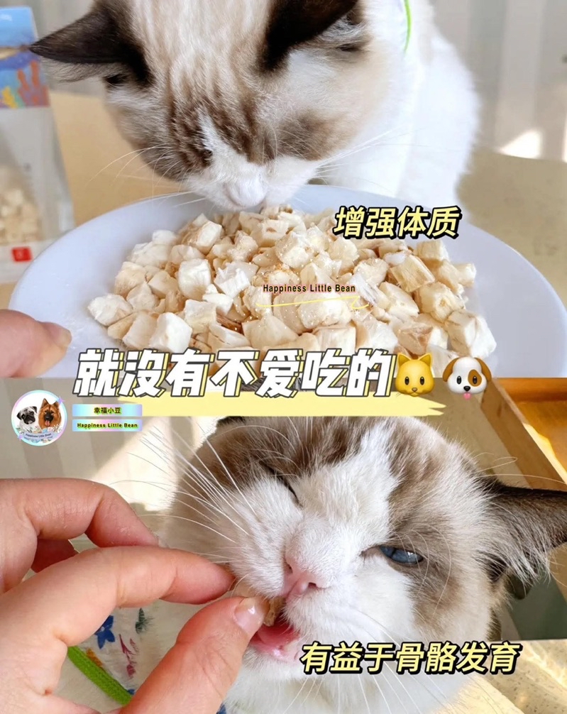 Freeze-dried high quality Cod Fish Cube Pet Snack Pet Cat dog Treats ...