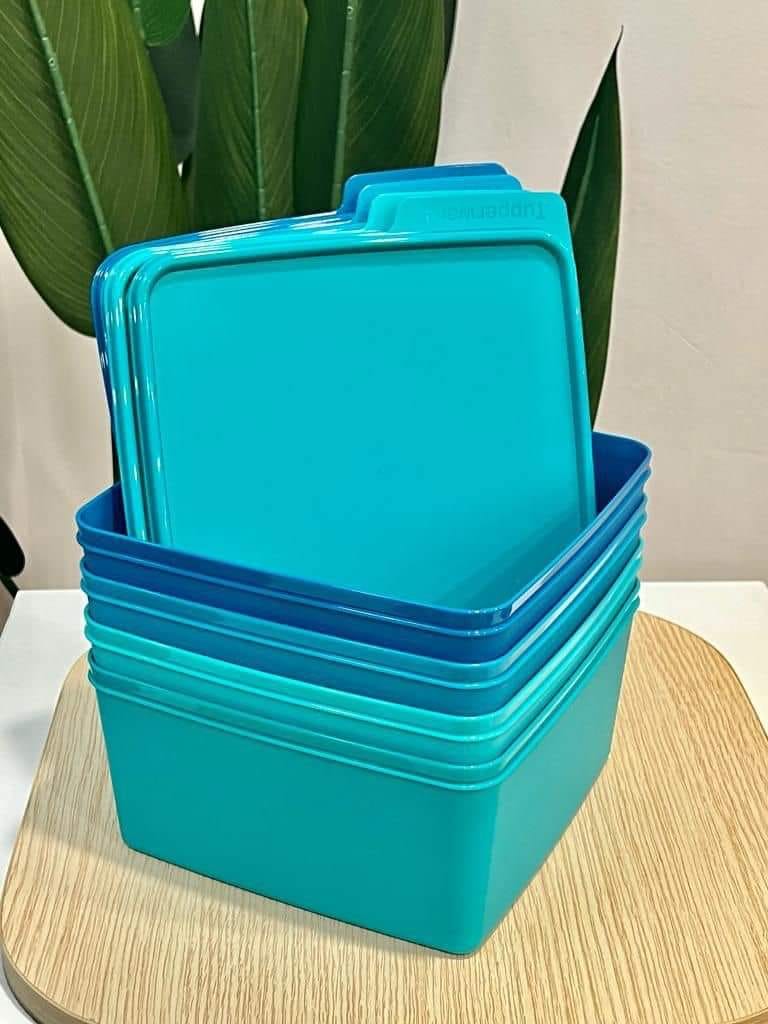 Tupperware Snack N Stack 5L/ 2.5L Bekas makanan Cozy Nest Snack Stack ...