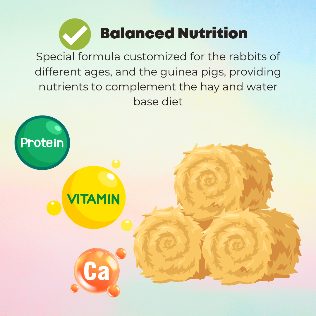 Genesis Extruded Premium Rabbit Food Guinea Pig Food / Alfalfa Timothy ...