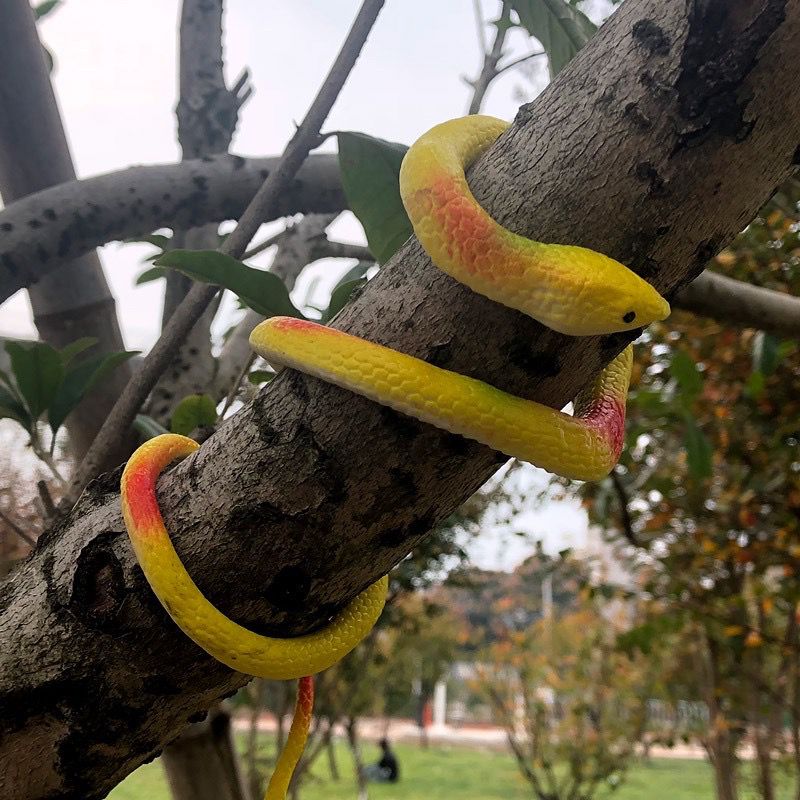 Ready Stock Simulation Rubber Snake Toy Snake Model Prank Props ...