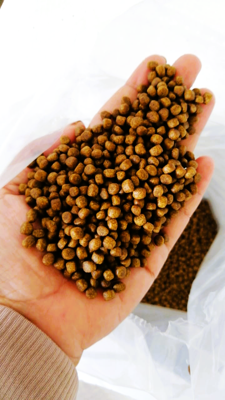 [500GM] FISH FEED 9973 / MAKANAN IKAN / FLOATING / TIMBUL / SIAKAP ...