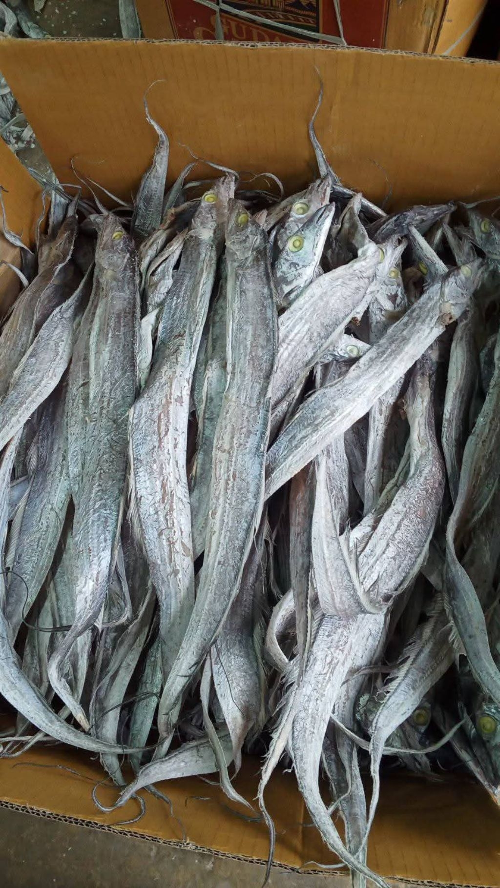 [Ready Stock] Ikan Masin Layur/Pehu Kering Fresh HARGA MURAH Import ...
