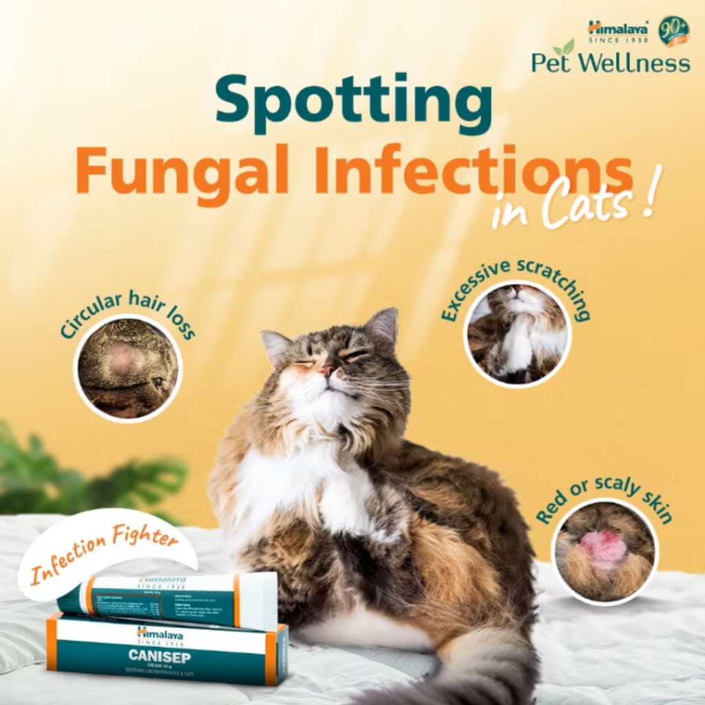 Himalaya Canisep Cream 30g Cat/Dog/Pets(Cuts,Dry/Moist Eczema, Ringworm ...