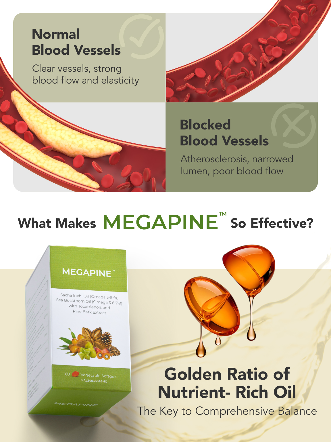 [Official | 100% Authentic] MEGAPINE (OMEGA 3-6-7-9)60'SOFGELS | Shopee ...