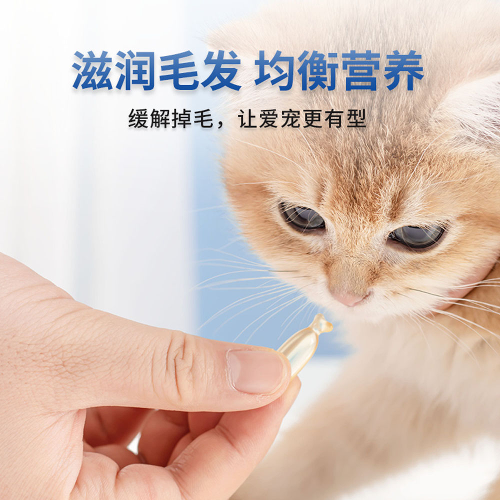 Furiri Cat Dog 120ml Deep Sea Fish Oil Pump Bottle Omega 3 EPA Pets