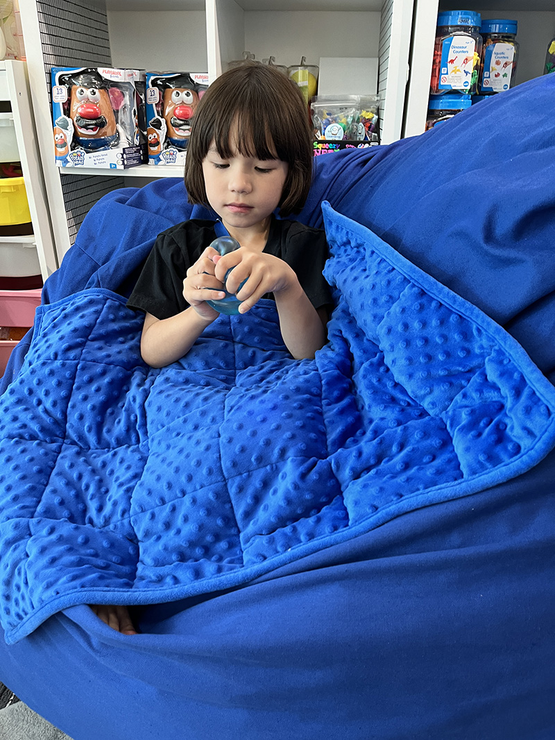 Weighted Lap Pad for Focus Calming Hug Autism ADHD | Shopee Malaysia