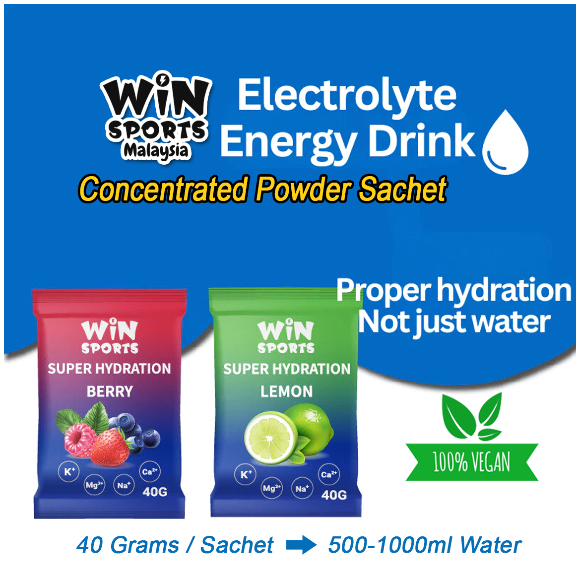WINSPORT Super Hydration Electrolyte Isotonic Drink 40g Energy Powder ...