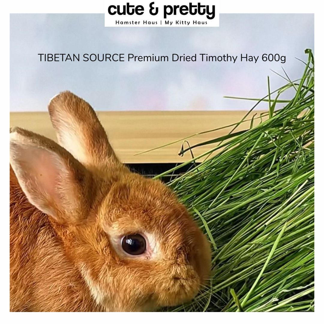 Photo inspiration: Best Freeze Dried Timothy Hay For Malabsorption Reference: Tibetan Source Premium Dried Timothy Hay 藏河源 精品烘干提摩西嫩草 600G