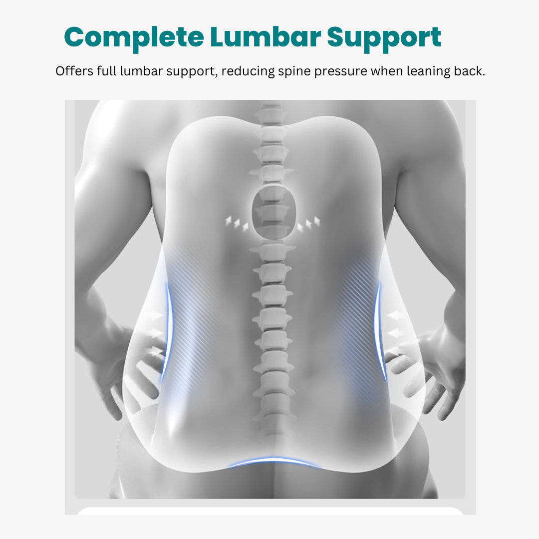 Spinalmate Premiere Ergonomic Spine Support Combo Cushion - Back Waist ...