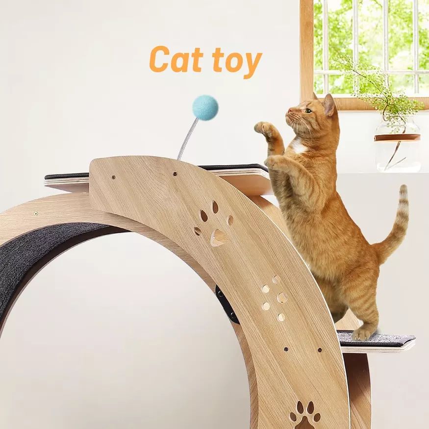 treadmill kucing Roda Senaman Kucing Cat Running Wheel Cat Treadmill ...
