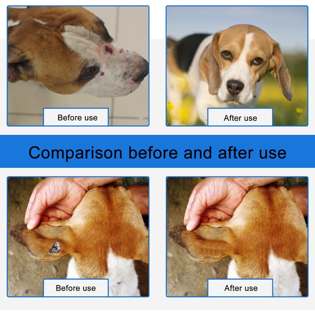 Pet Wound Spray Dog and Cat Skin Rash Moss Scratch Wound Treatment Care ...