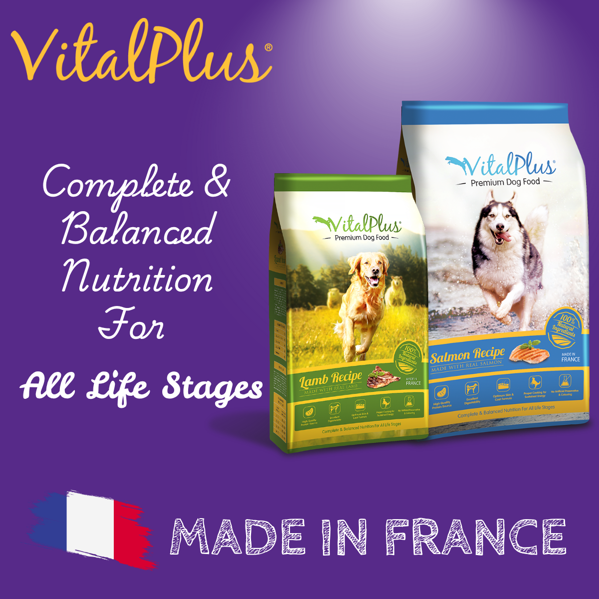 VitalPlus Dog Dry Food 18kg Premium Salmon Lamb Vital Plus Makanan ...