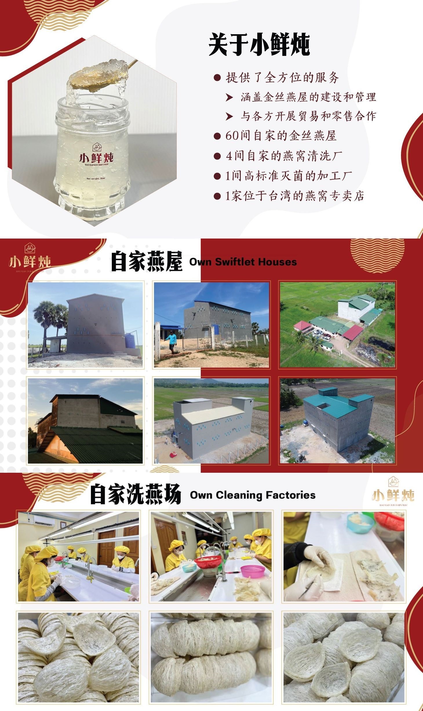【每罐1.5克干燕窝】Xiao Xian Dun Pure Bird Nest小鲜炖高品质纯燕窝【50ml x 10】无糖即食燕窝、滋补功效 ...