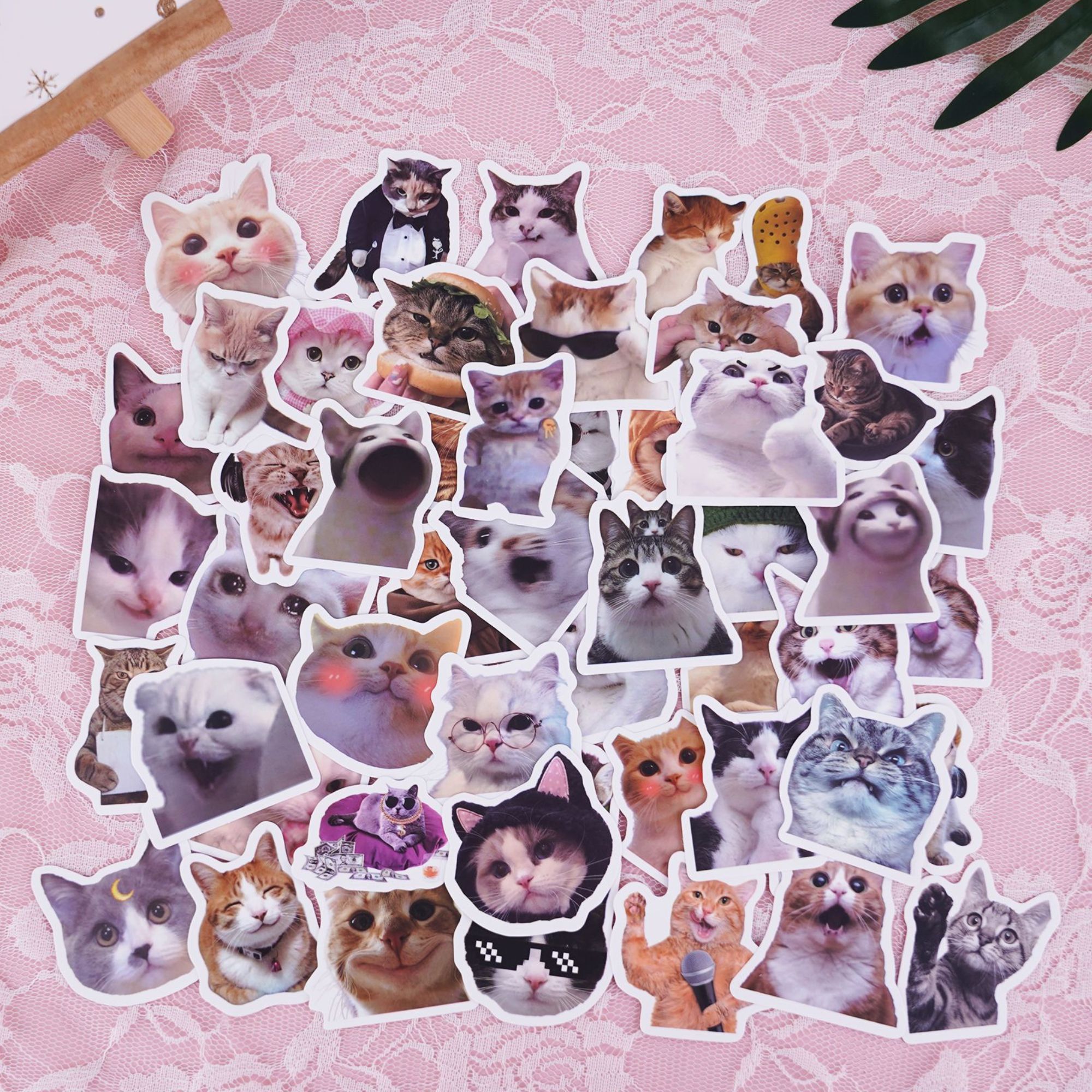 Kitty Meow Cat Cute 50pcs DIY Waterproof Non Repeating Stickers Pack ...
