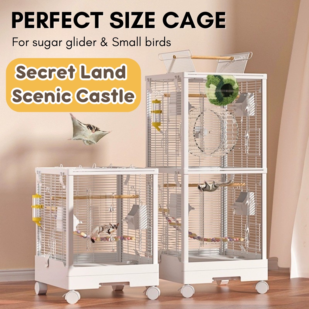 Fresh Look at Two Tier Premium Parrot Cage Acrylic Door Sugar Glider Cage