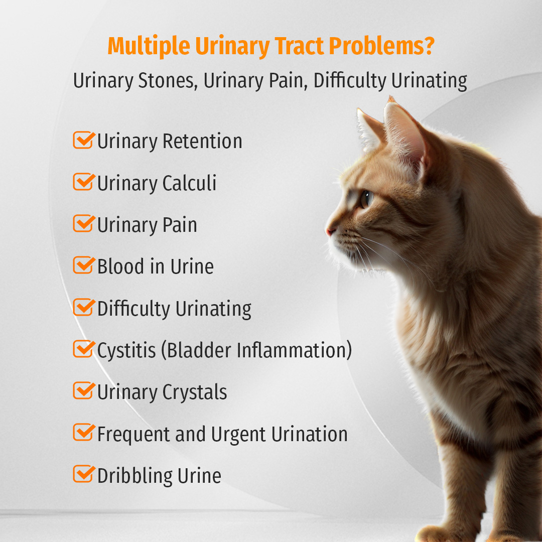 Cassiel Pet Kidney, Urinary Hematuria, Urinary Tract Nutritional ...