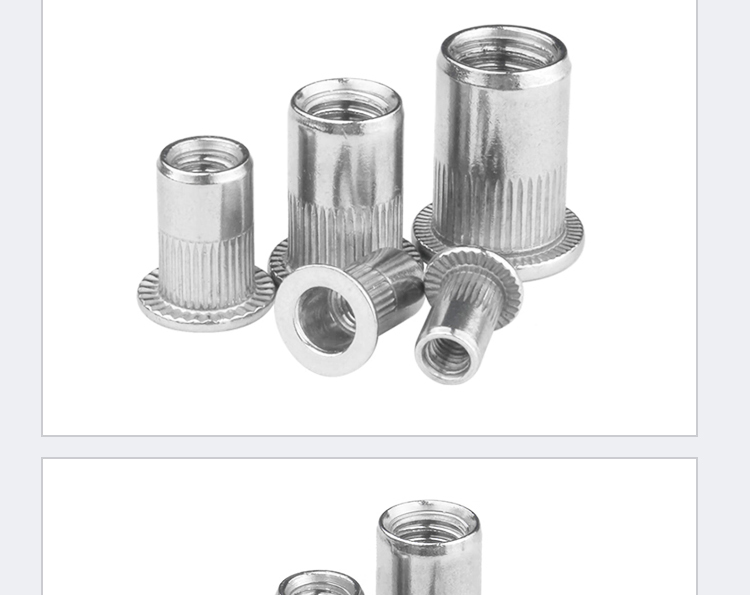 Rivet Nut Flat M3 M4 M5 M6 M8 M10 M12 | 304 Stainless Steel Strong ...