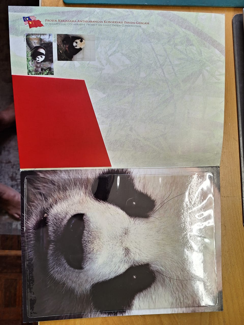 中国大熊猫 Panda Project 2015 - Empty MALAYSIA CHINA GIANT PANDA STAMP ...