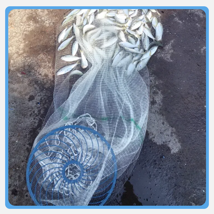 Hand Casting Fish Net Jaring Ikan Frisbee Fishing Net Bubu Ikan Nylon ...