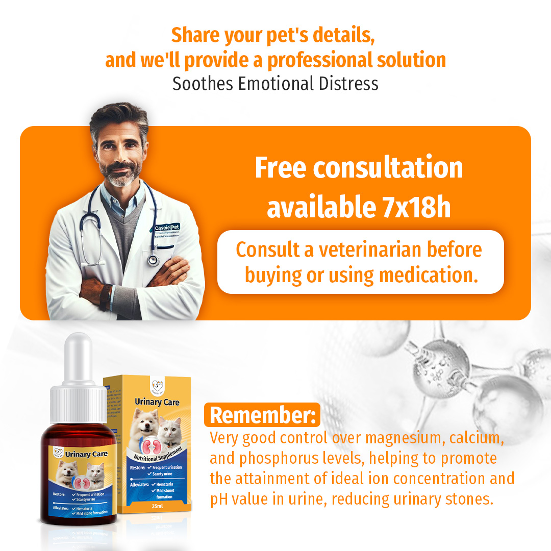Cassiel Pet Kidney, Urinary Hematuria, Urinary Tract Nutritional ...
