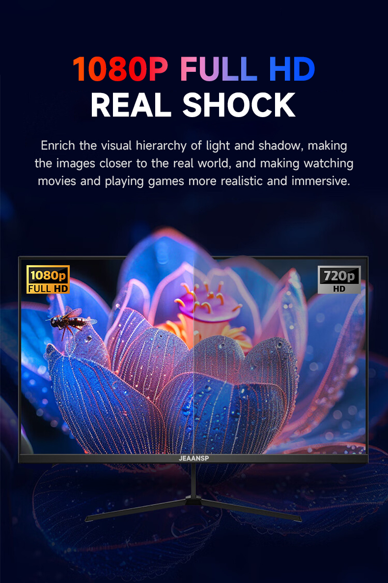 Computer Monitor Full HD 22