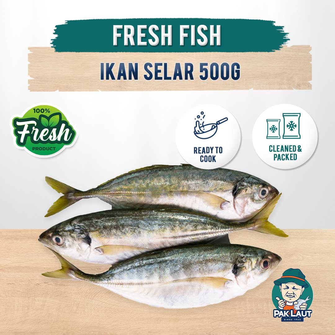 IKAN SELAR - 500G | READY TO COOK | Shopee Malaysia