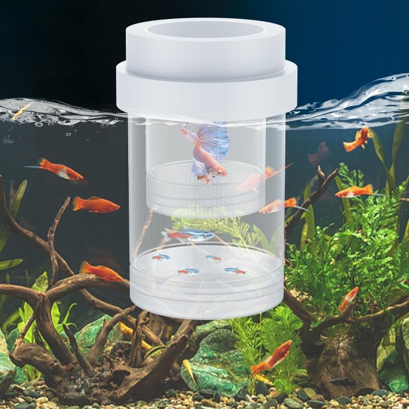 Fish Tank Hatching Box Peacock Fish Breeding Tank Fish Tank Isolation ...