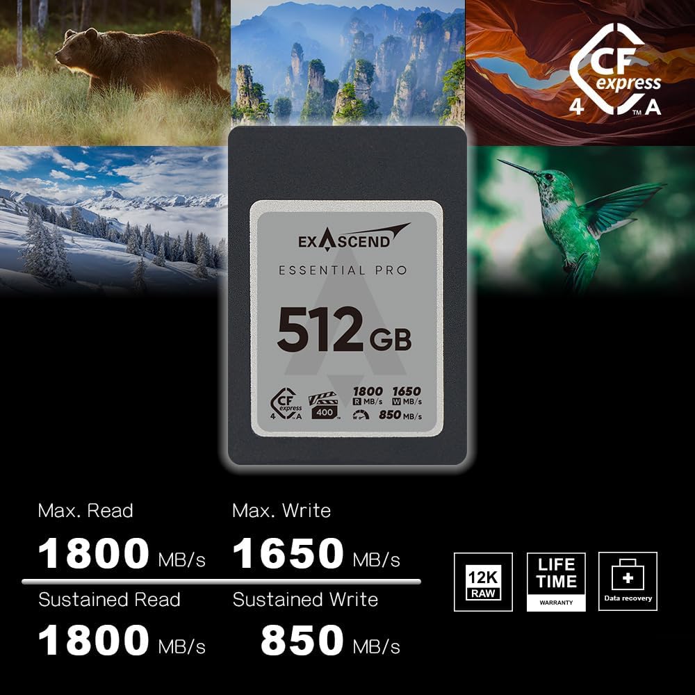 Exascend Essential Pro Gen 4 CFexpress 4.0 Type A Cards - 1TB / 512GB ...