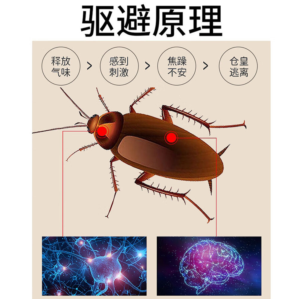 KMH Cockroach Repellent Magic Beads Insecticide Plant Essential Oil ...