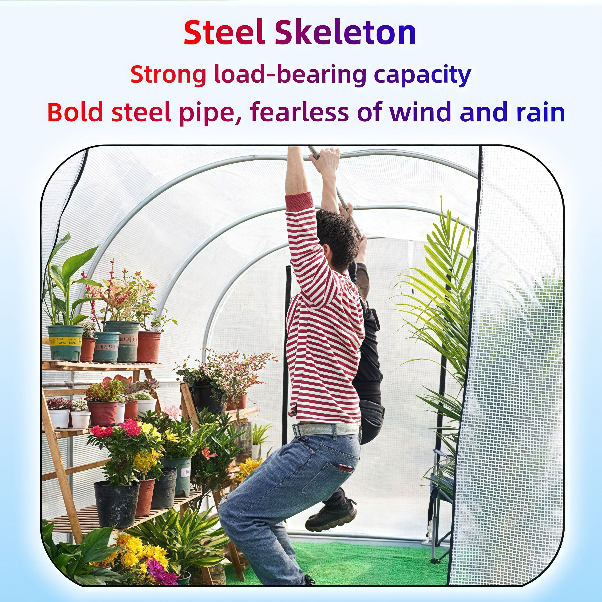 Balcony Household Succulent Greenhouse Flower Room Sprout Nursery ...