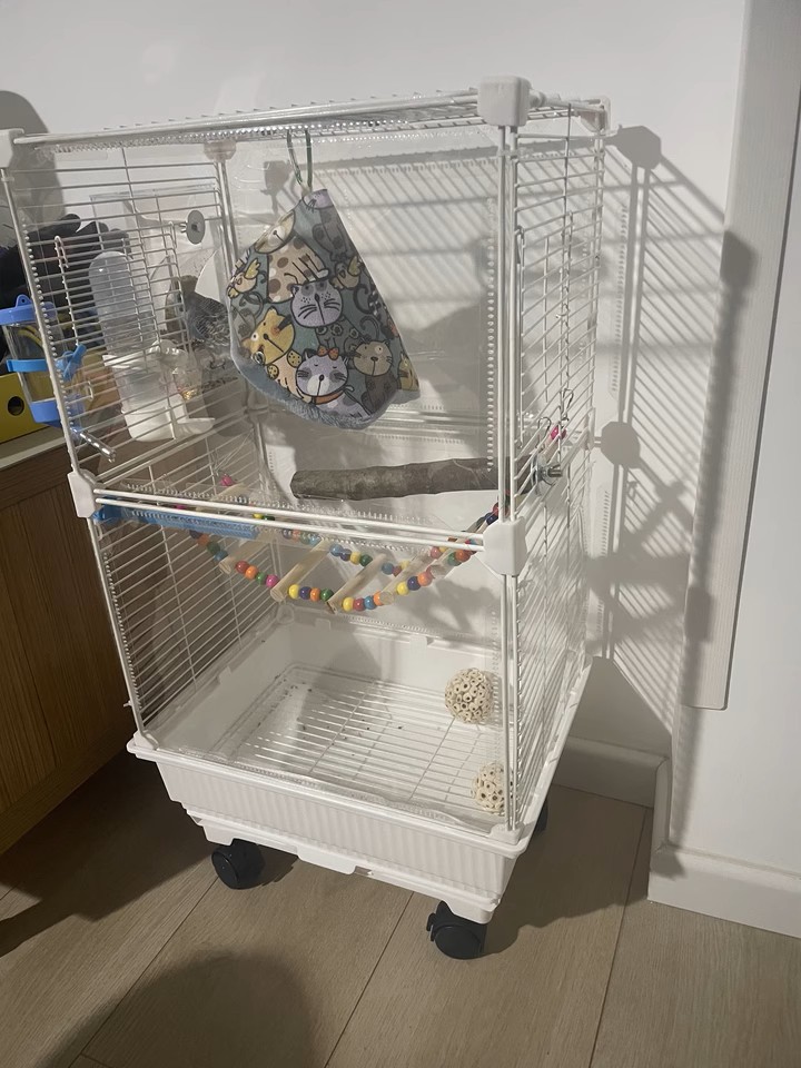 Illustration of Large Bird Cage With Three Tiered Swinging Bars And Easy Cleaning