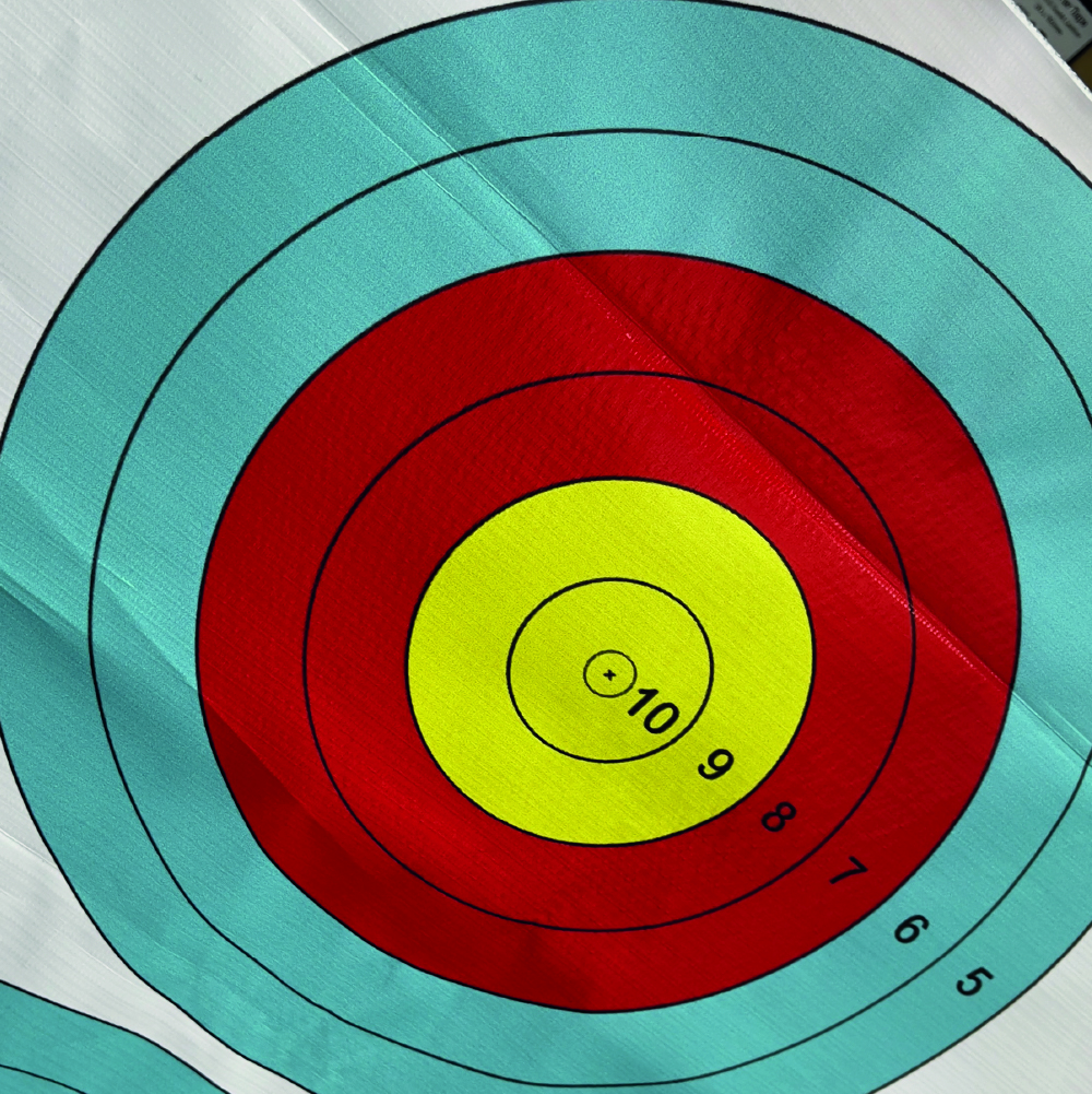 Target 3 Spots Traffic Light for 60cm 80cm and 100cm Target Board ...