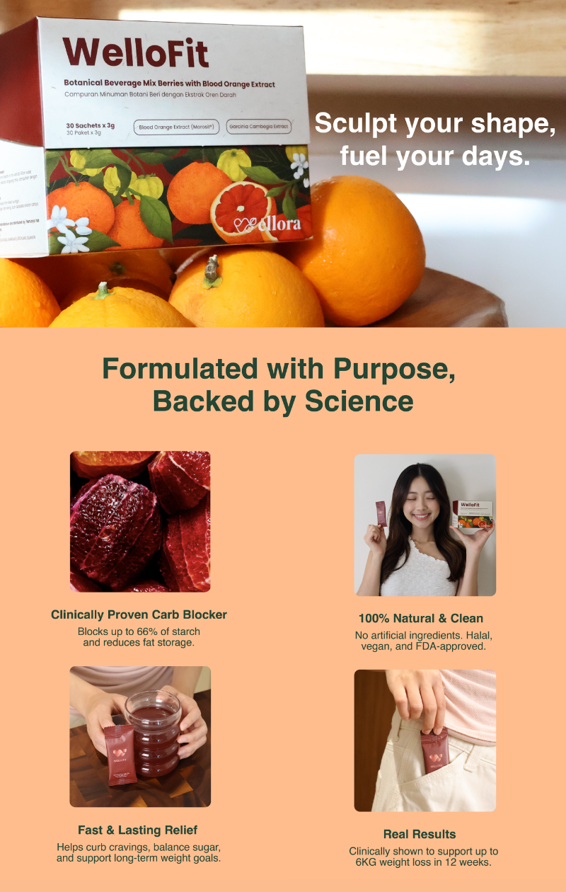 【1~3 Months Supply】Wellora Health WelloFit Metabolic Support | Appetite ...