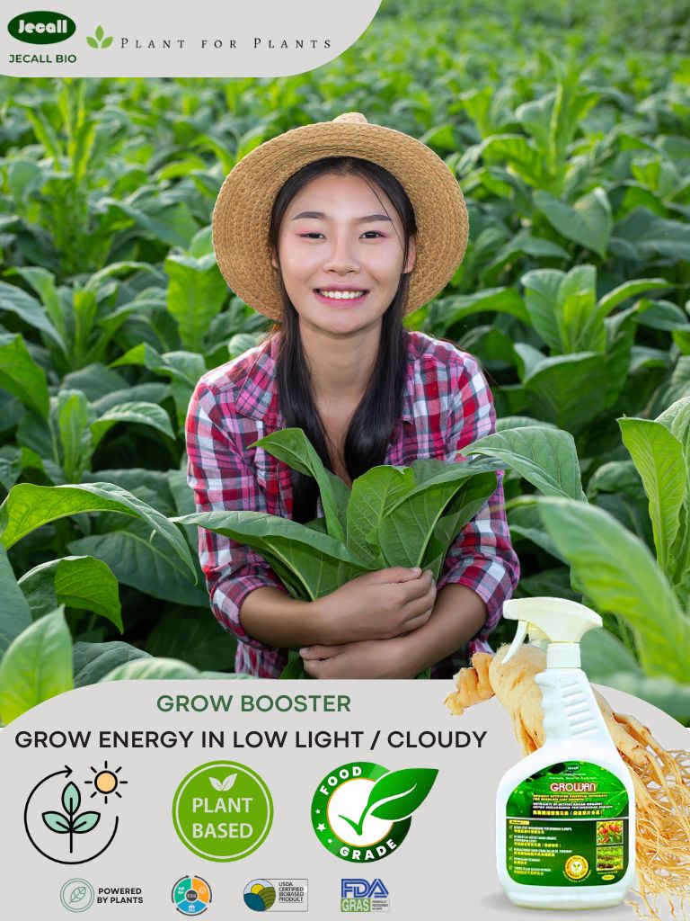 Jecall-Bio ORGANIC Farming Set Baloi | Semburan Serangga + Baja ...