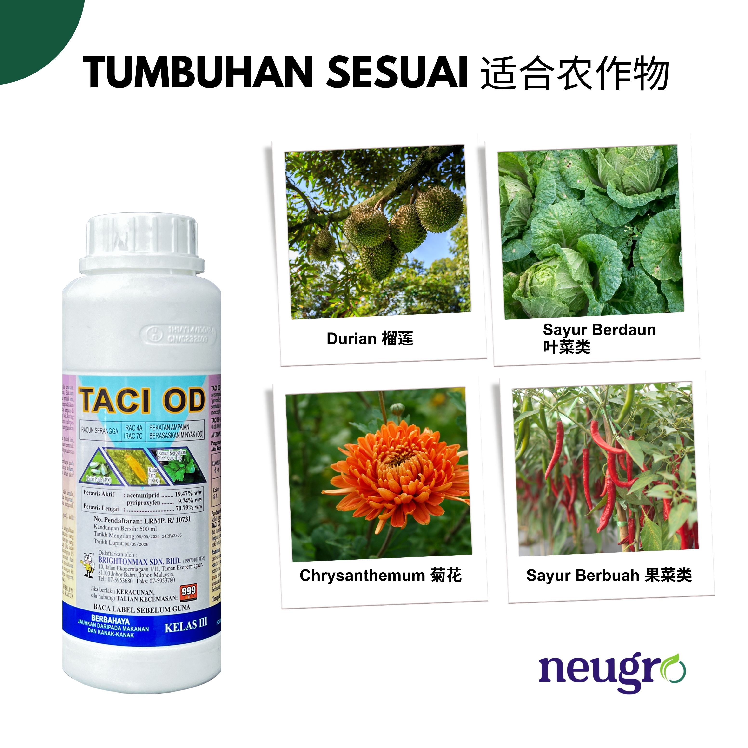 Brightonmax TACI OD 500ml Acetamiprid 19.47% Pyriproxifen 9.74% Racun ...
