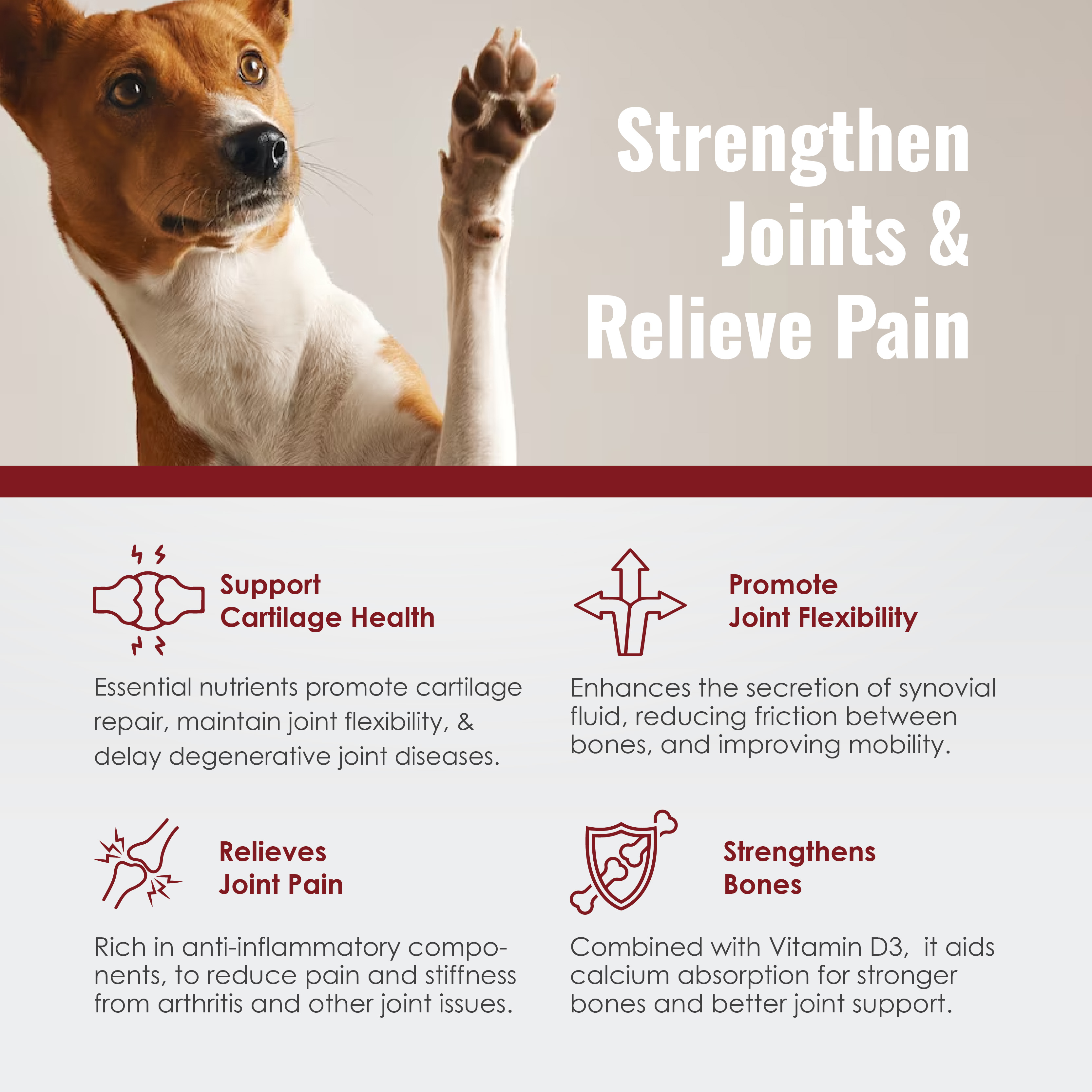 Predator Raw Life Hip & Joint Pet Supplement Boost Joint Pain ...