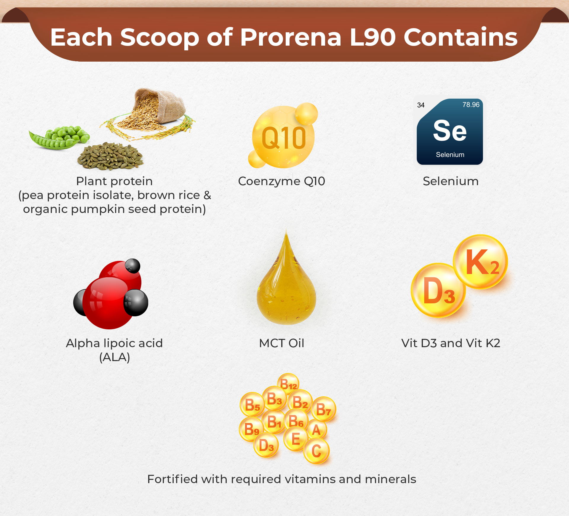 Zenwell Nutrition Prorena Plant Protein (500g) L90 | Shopee Malaysia