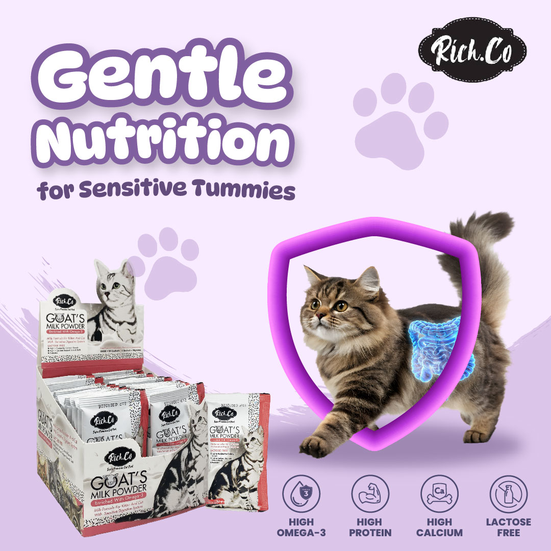 Rich. Co Goat Milk Powder with Omega 3 Kitten Cat Milk / Susu Kambing ...