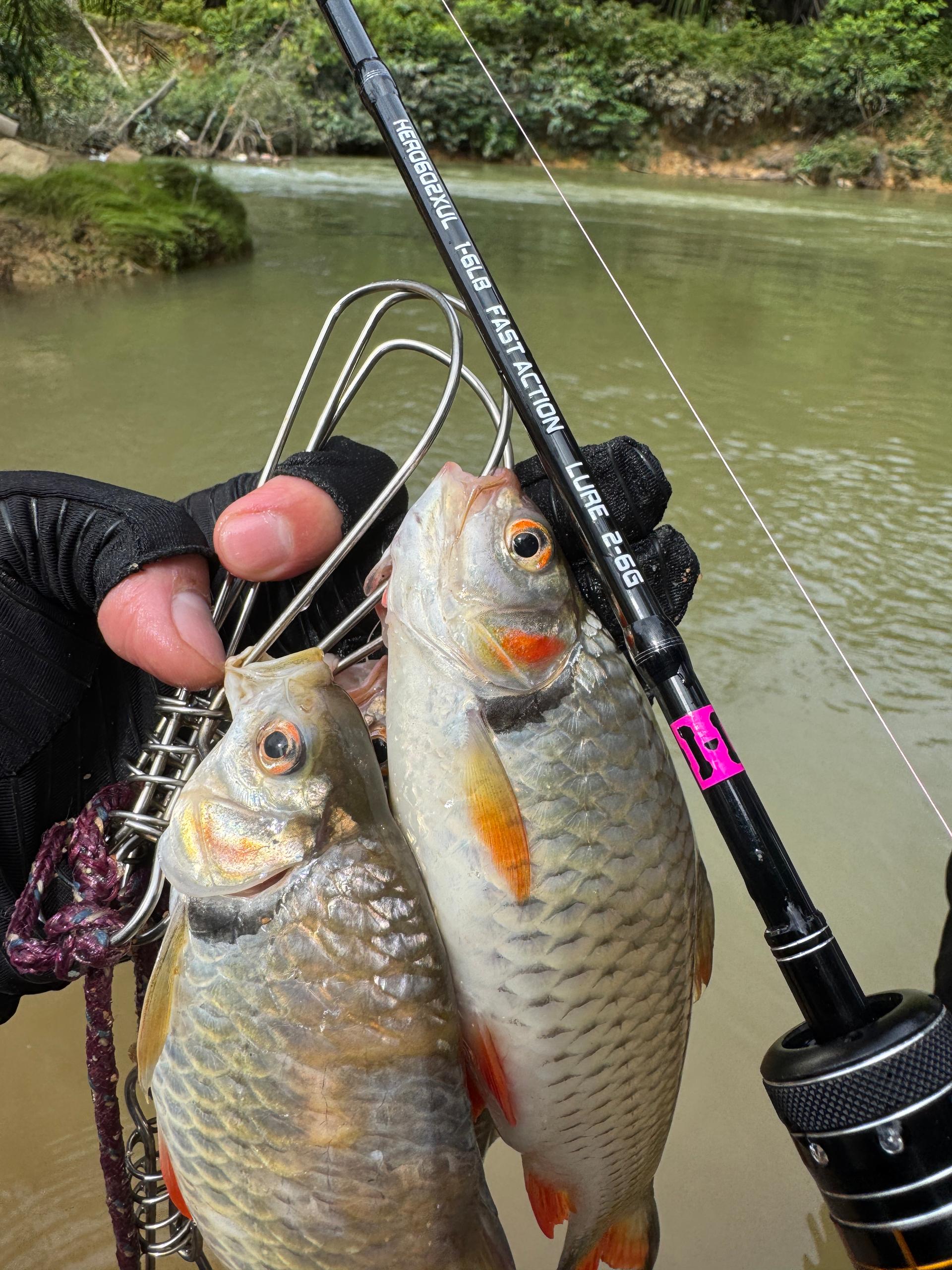 Rengitfisherman - Landbase Hero Rod, Ultra Light, Light. Medium Light ...