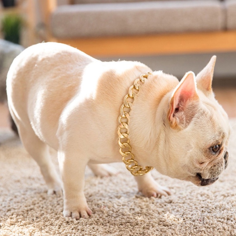 Cat Gold Chain Dog Collar RoseGold Plated Chain Pet Necklace Plastic ...